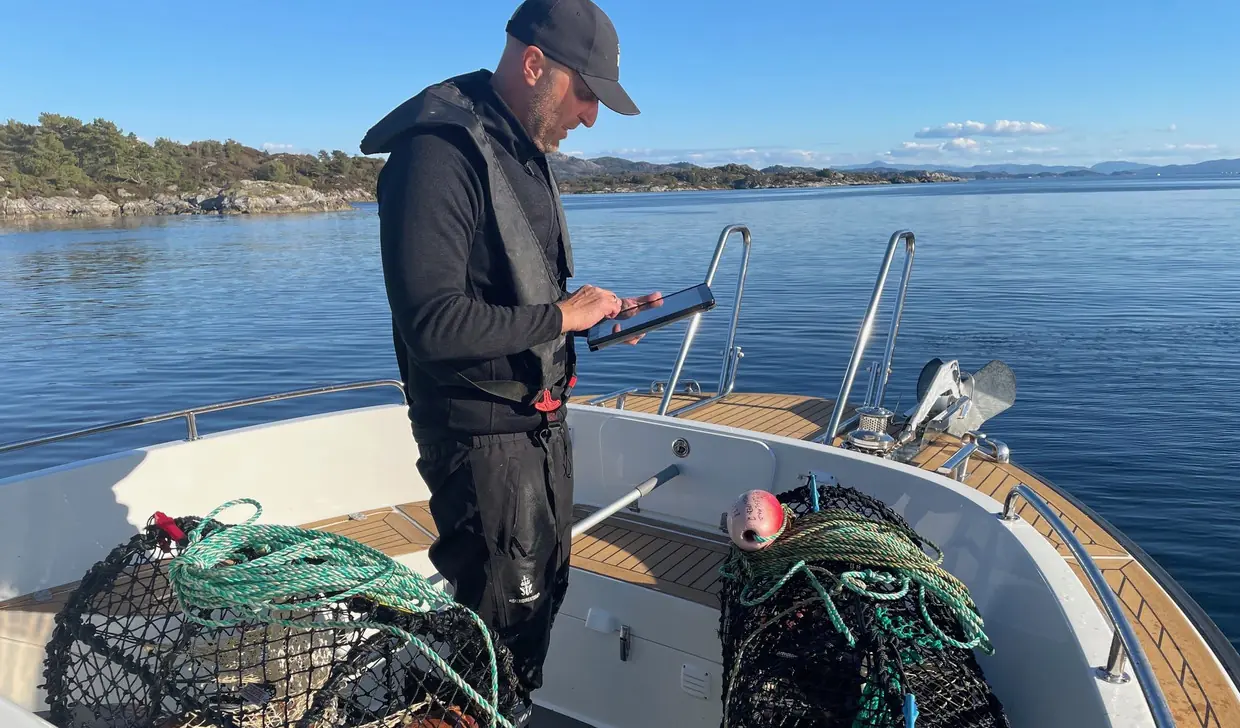 Hummeren er en truet art, som hvert år utsettes for et relativt hardt fisketrykk i de månedene fisket er åpent. Det gjør at kontrollbehovet er stort. Foto. Firkeridirektoratet