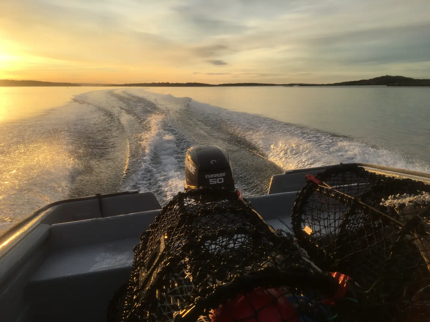 1. oktober starter hummerfisket - og for mange en fantastisk opplevelse og spenning på sjøen. Foto: Båtens Verden