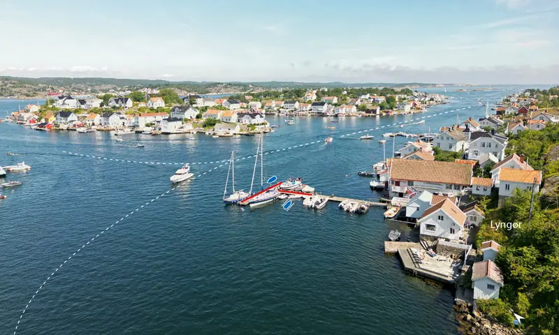 Harbour background