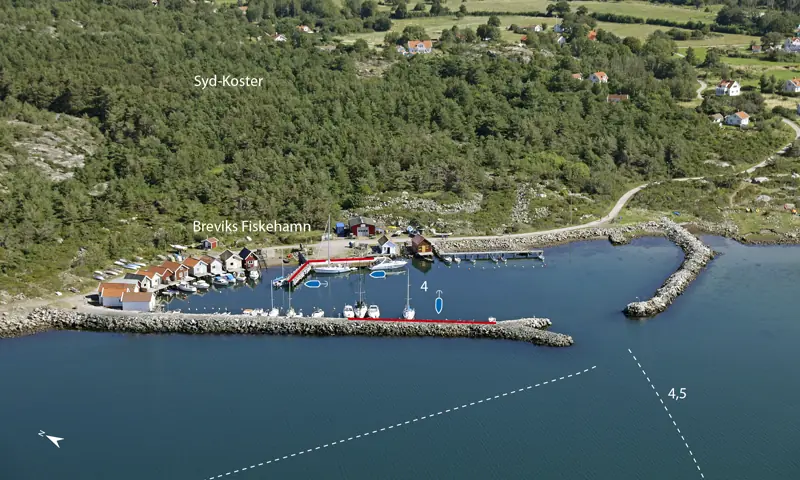 Harbour background