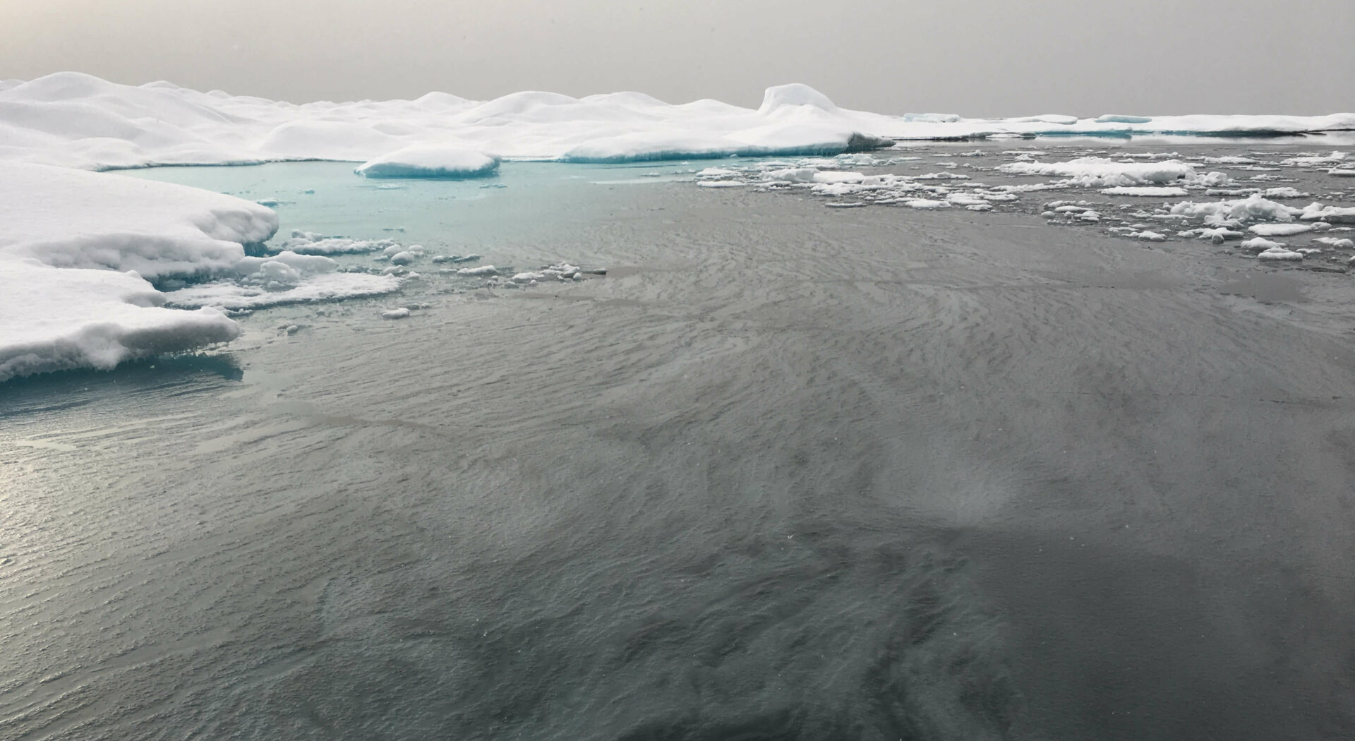 Isen har så smått begynt å legge seg. Sjokkfryser vannet, riskerer vi å bli frosset fast på stedet. Fotoꓽ Manuela Legoretta